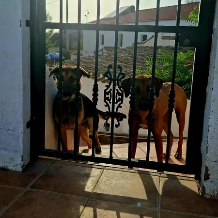 Cortijo Nudista Con Vistas Appartement Oria